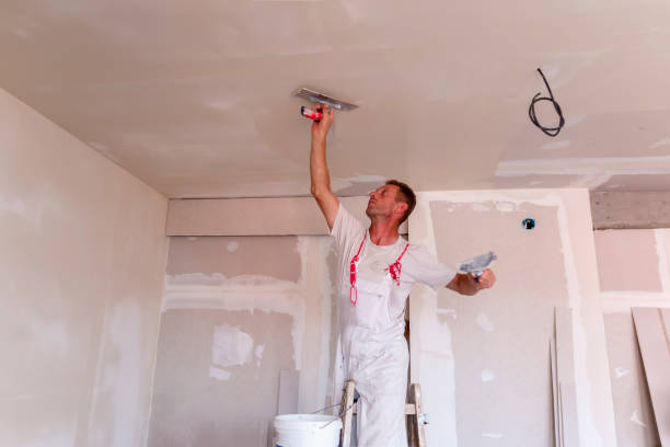 Best Drywall Finishing  in USA